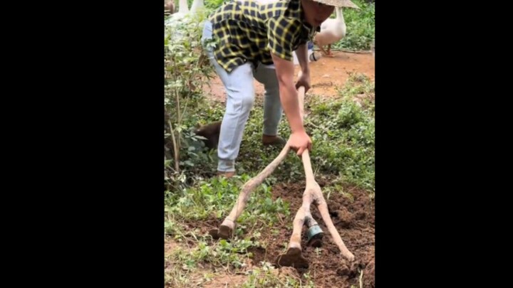 “It’s really full of famous scenes.”