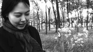 Hình ảnh tình yêu, từ "The Novelist's Movie"