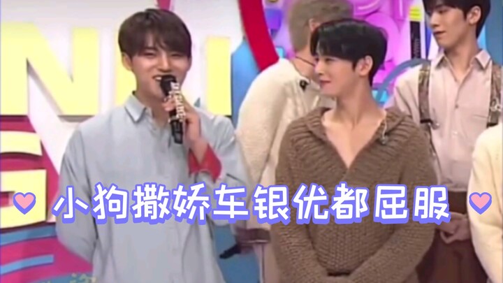 Kim Min-kyu and Cha Eun-woo act out a scene, and even the cute puppy wins over Cha Eun-woo!