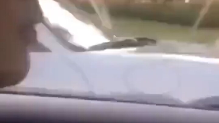 Have you ever driven a sports car before? 😂