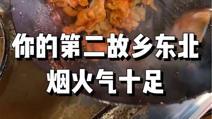 欢迎来到你素未谋面的第二故乡东北，感受东北美食的魅力！