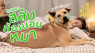 (EN) ทดลอง สลับห้องนอนหมา วุ่นวายไม่ได้นอน! - มหึหมา EP102