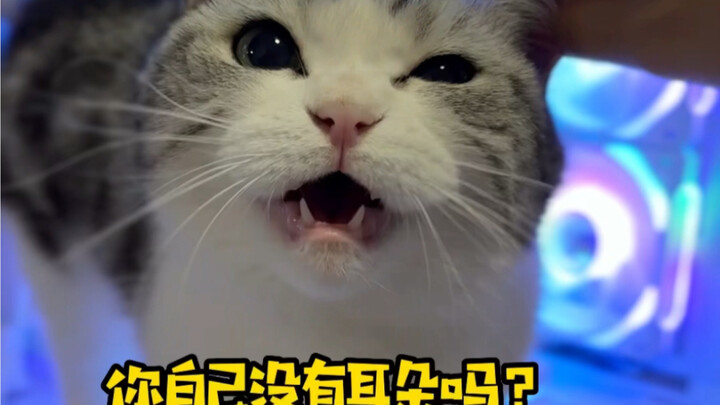 กอดไว้นิดหน่อย หัวมันเผาอุ่นเกินไปจริงๆ～