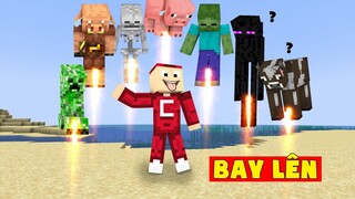 Minecraft Nhưng Nhìn Là Bay