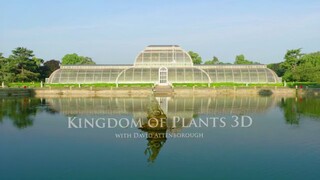 Kingdom.of.Plants.E01.Life.in.the.Wet.Zone.720p.10bit.BluRay.x265-budgetbits