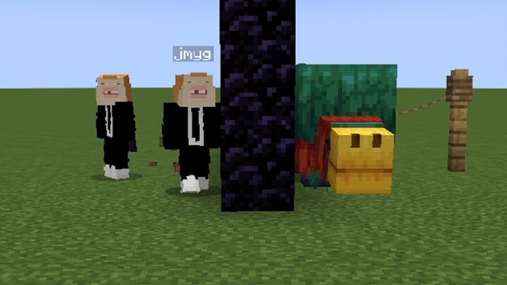 Two-Player Biology Guessing Game