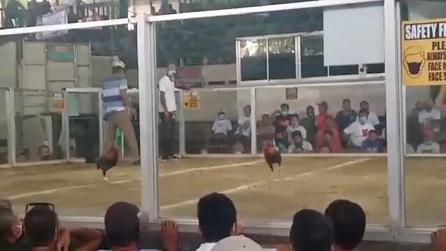 Elimination oneba local stagan win first fyt