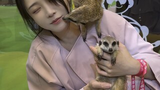 The first time I sucked a meerkat, it turned out that I was the one being sucked