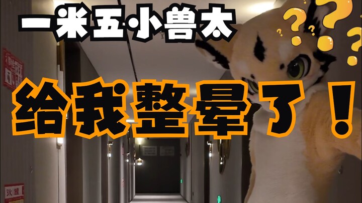 A 1.5-meter-tall little beast, all fluffy, is doing the Armageddon dance—she’s totally thrown me for