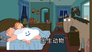 【Family Guy】【Chinese Dubbing】Birth and his Animal 🐎 Friends