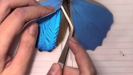 بعد أن رُسم حبي في لوحة، عدت إلى أحلام الماضي ومسقط الرأس؛ ففي الأحلام لا توجد إلا أنت.