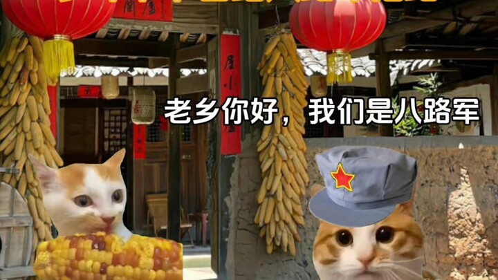 หลานรัก สอบไปเลยอย่างกล้าหาญ ตาเป็นผู้เล่นเก่าตั้งแต่เปิดเซิร์ฟมาเลยนะ!