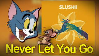 [Tom and Jerry] Never Let You Go