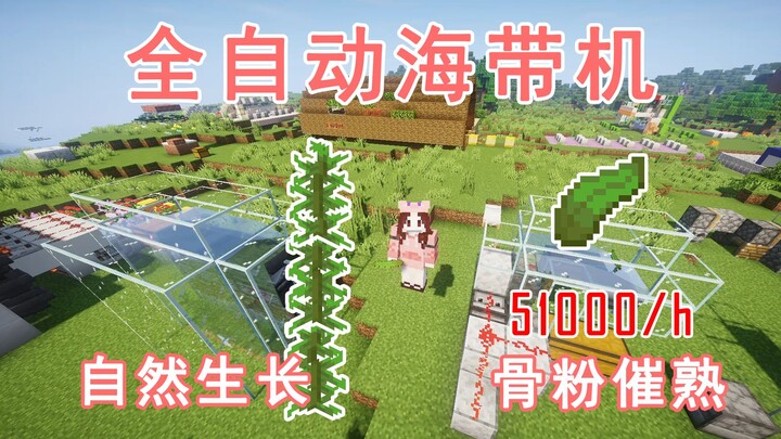 [Fully Automatic Kelp Machine] Simple and Efficient, Two Versions—Natural Growth or Bone Meal Accele