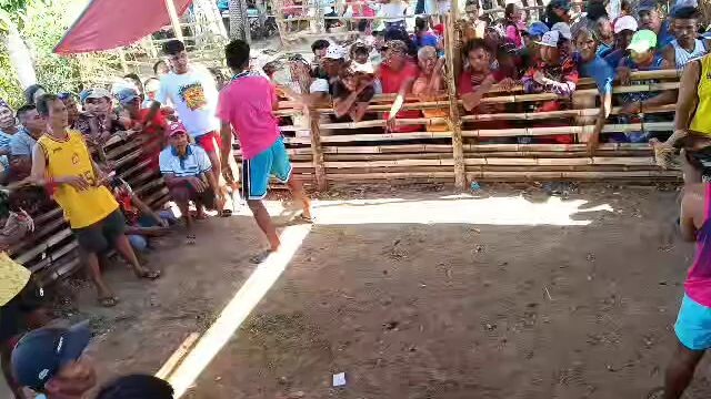 bisaya line