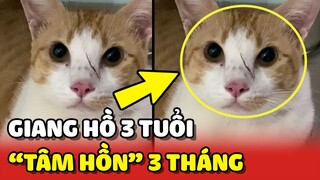 Hoàng Thượng "GIANG HỒ" 3 TUỔI nhưng mang tâm hồn EM BÉ 3 THÁNG bên trong 😂 | Yêu Lu