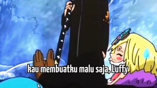 law baru aliansi langsung tertekan sama luffy wkwk