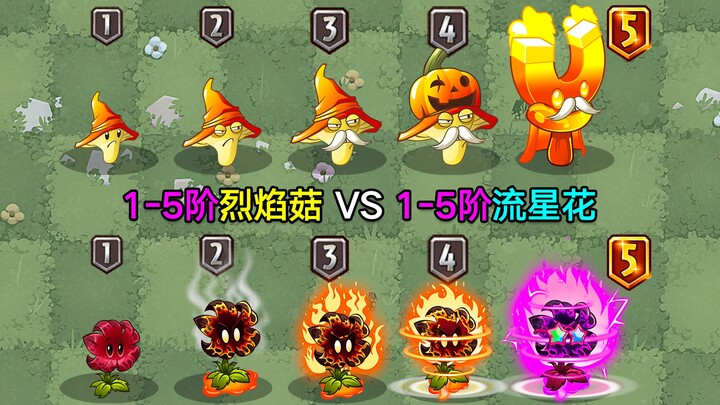 Jamur Api Level 1–5 vs Bunga Meteor Level 1–5! Keduanya adalah tanaman yang melontarkan meteor—apaka