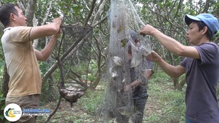 Lưới Ngay "Ổ CÁ MÈ MỘT LỨA" Lo Mà Gở | Hội Ngộ Miền Tây - Tập 642