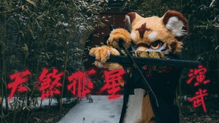 【舞千年】港风武侠天煞孤星 虎年演武虎虎生威贺新年