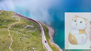 Khi bạn bối rối, hãy lắng nghe những gì Hoa Linh nói