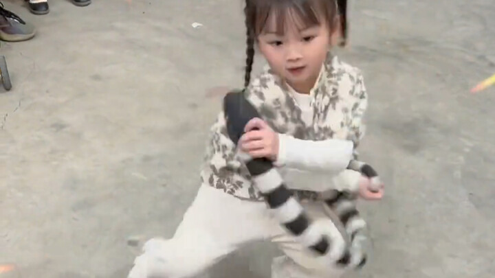เด็กหญิงวัยห้าขวบจาก Chaoshan เต้นงูเก่งมาก!