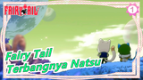Fairy Tail | "Terbang Dengan Cara yang Sama Sepertimu, Natsu."_1