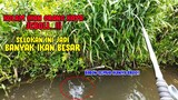 Begini Kalau Kolam Ikan Orang Kaya Jebol... JADI BANYAK IKAN BESAR DI SELOKAN INI BROO!!