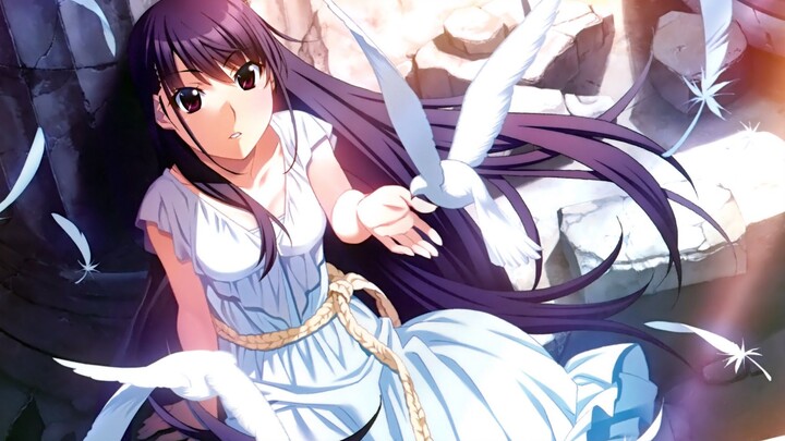 [Gray Trilogy] An unpopular harem masterpiece! Let's watch the second episode of "Gray Fruit"