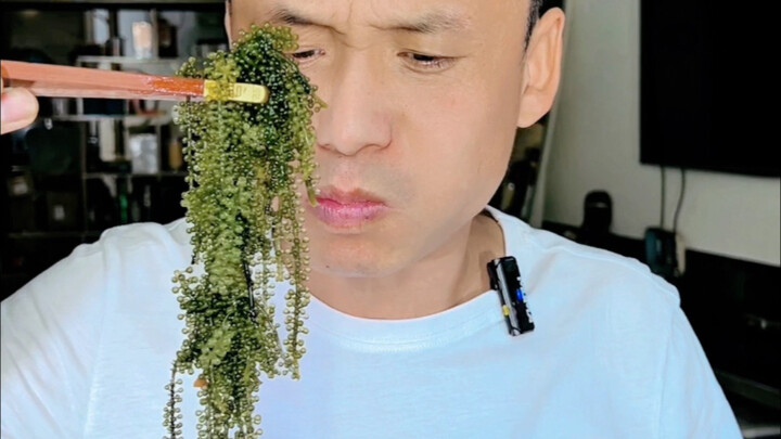 挑战海葡萄，还想看我挑战啥？