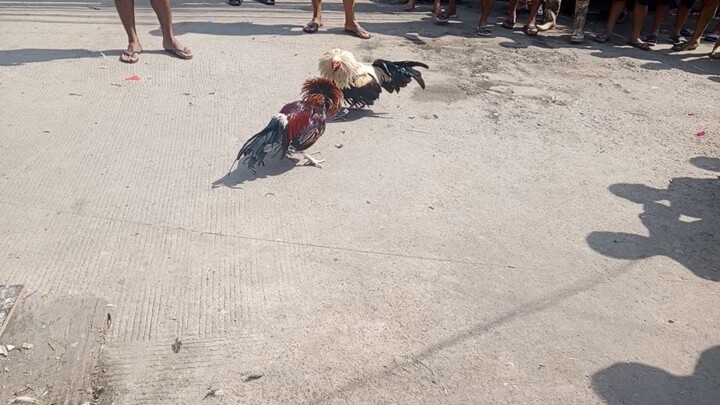 sweater Kelso loss... dec. 25 2025...