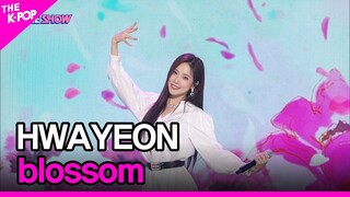 HWAYEON, blossom (화연, blossom) [THE SHOW 220503]