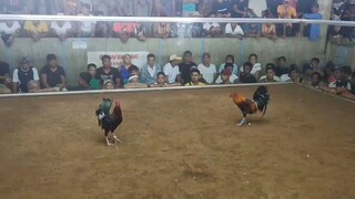 win, hirap sa katawan si dagul