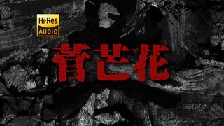 "心中再会啦，心中再会啦" 草东《菅芒花》【Hi-Res 24bit/192kHz】