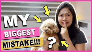 BIGGEST Mistakes Dog Owners Make in 2021| The Poodle Mom