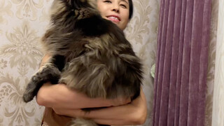 The changes in my mom after getting a cat!!