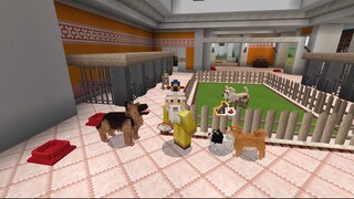 Minecraft / Forming The Amazing Dog Empire | Doggie Daycare By Razzleberries Part 2
