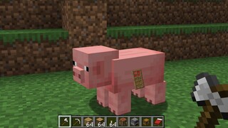 เมื่อต้อง!! สร้างบ้านในตัวหมู | Minecraft