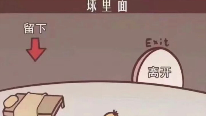 الاختلافات الكبيرة في التصميم الداخلي لمختلف كرات الـPoke Ball!