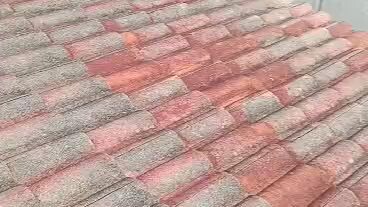 hari ni main panjat2