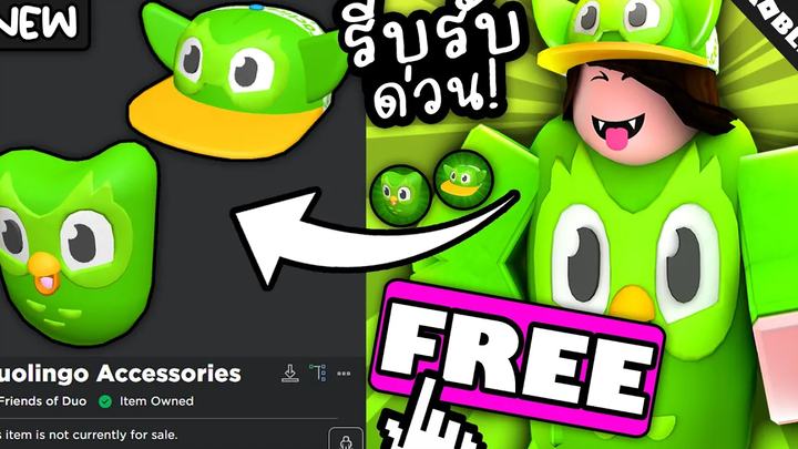 Roblox รับของฟรี 2 ชิ้น นกอ้วนสีเขียวสวยมาก! Duolingo Event