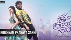 Krishnam Pranaya Sakhi (2024) Hindi Dubbed UNCUT 1080p Full HD