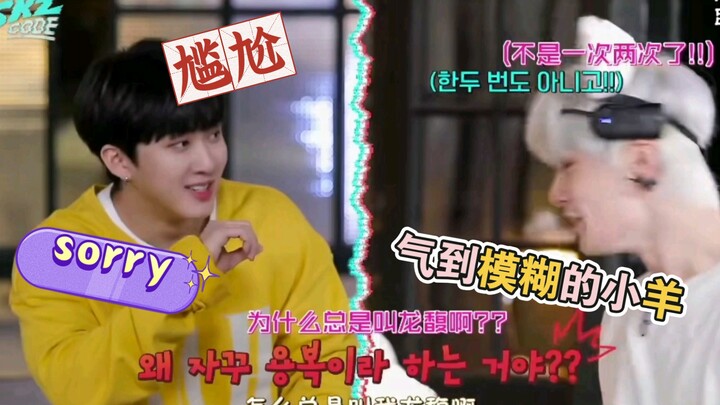 【Stray Kids】Si Domba: Jadi ini alasan kamu memanggilku Long Fu?!! Roti mengaum!!