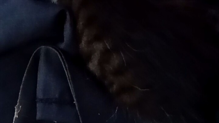 anak embul, seperti mujaher.