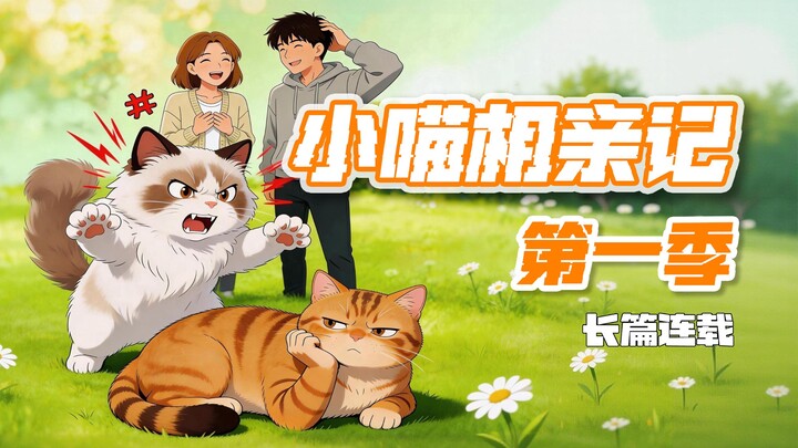 Kisah Kencan Cari Jodoh Si Kucing - Musim 1