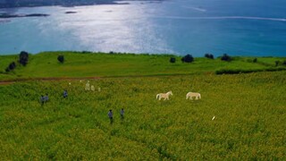 Welcome to Samdal-ri. -Episode16 FINAL EPISODE  (Subtitled - ENGLISH)