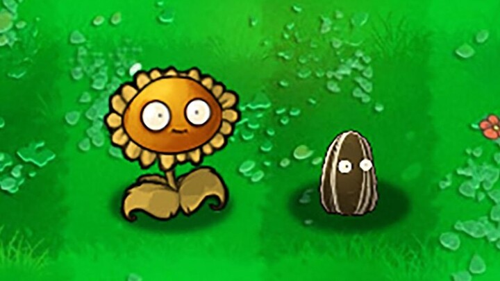 Sunflowers! Fresh sunflower seeds!