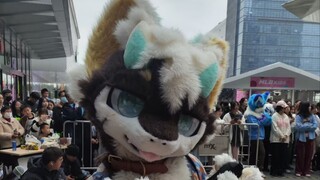 铅笔老师我是你的狗啊～