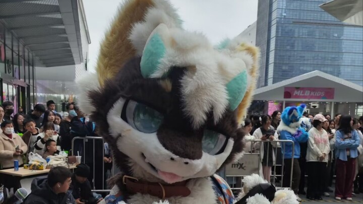 铅笔老师我是你的狗啊～