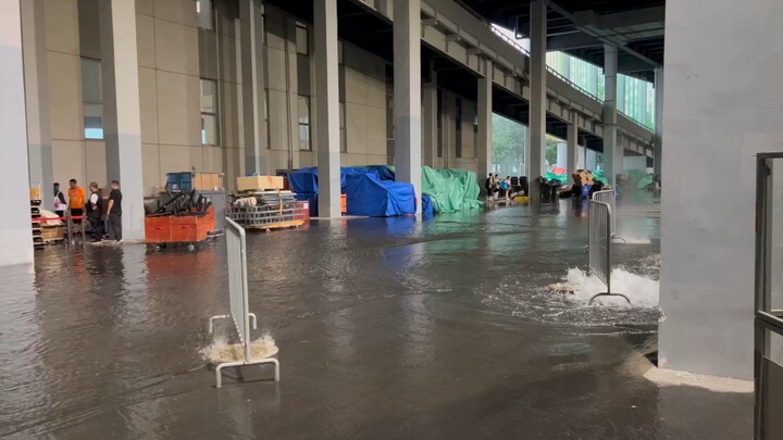 BW Flood-Season Exclusive